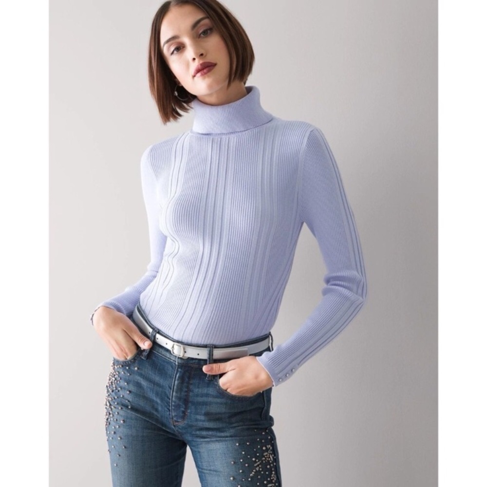 WHBM | Transfer Rib Turtleneck Long Sleeve Charm